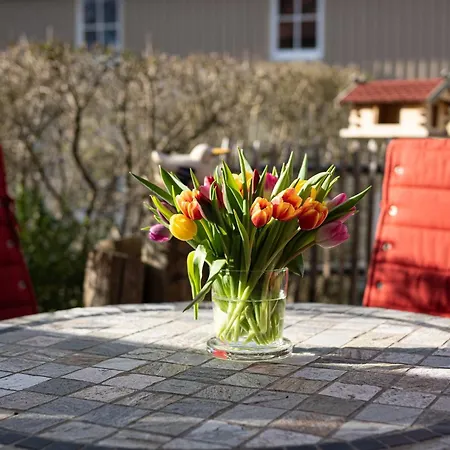 Apartament Birkenhof App 65 