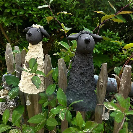 Birkenhof App 65 